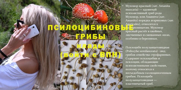 индика Белоозёрский