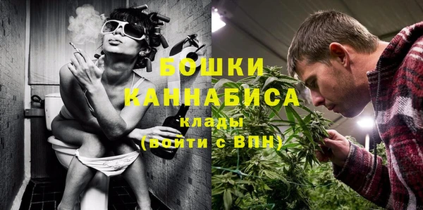 индика Белоозёрский