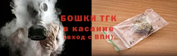 индика Белоозёрский