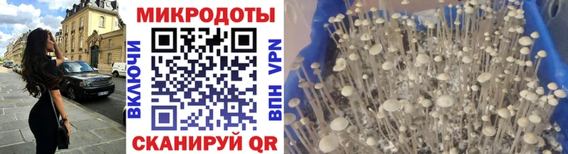 купить закладку Кукмор Псилоцибиновые грибы MAGIC MUSHROOMS